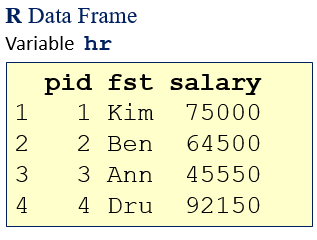 R Data Frame